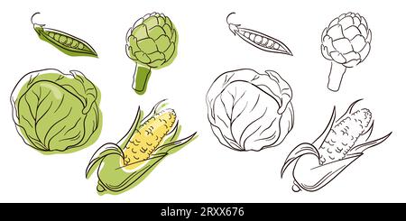 Petit ensemble avec des légumes dessinés à la main au trait art. Style d'esquisse. Icônes plates pois, artichaut, chou, maïs. Illustration vectorielle isolée sur un blanc Illustration de Vecteur