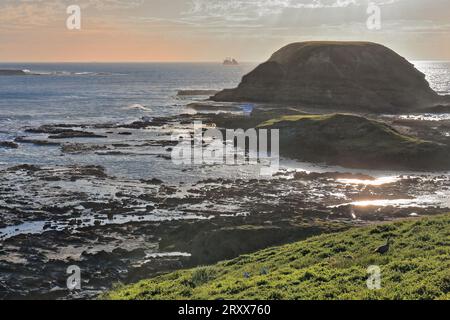 968+ les Nobbies et la formation Seal Rocks vus depuis le belvédère de la promenade en soirée. Port Phillip Island-Australie. Banque D'Images