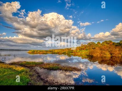 En fin d'après-midi, illuminez le rivage du lac supérieur Myakka dans le parc d'État de Myakka River à Sarasota Floride États-Unis Banque D'Images