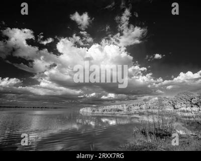 Infrarouge Inage rouge noir et blanc de grands nuages au-dessus du lac Myakka supérieur dans le parc d'État de Myakka River à Sarasota Floride USA Banque D'Images