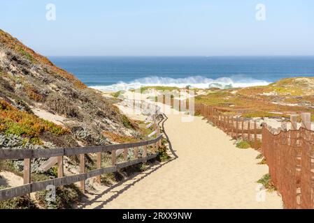 Chemin clôturé vide à travers des dunes de sable menant à une plage le long de la côte de la Californie par une journée ensoleillée d'automne Banque D'Images