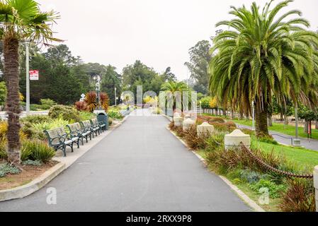 Chemin pavé désert bordé de bancs en bois vides dans un parc public par un jour d'automne brumeux Banque D'Images