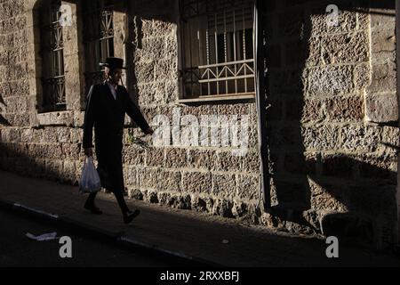 Préparations de Soukkot à Jérusalem les hommes juifs orthodoxes choisissent des frondes de palmier utilisées dans les rituels effectués lors de la prochaine fête juive de Soukkot à Jérusalem, le 27 septembre 2023. Photo saeed qaq Copyright : xSAEEDxQAQx 513A0731 Banque D'Images