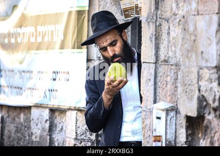 Préparations de Soukkot à Jérusalem un homme juif orthodoxe inspecte un Etrog, ou citron, utilisé dans les rituels effectués lors de la prochaine fête juive de Soukkot à Jérusalem le 27 septembre 2023. La Soukka est construite et vécue pendant la fête juive de Soukcot, également connue sous le nom de fête des Tabernacles, nommée d'après les abris dans lesquels les Israélites vivaient alors qu'ils erraient dans le désert pendant 40 ans. Les vacances d'une semaine commencent vendredi. Photo saeed qaq Copyright : xSAEEDxQAQx 5T9A8970 Banque D'Images