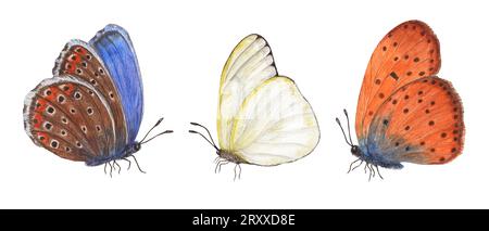 Papillons colorés avec des ailes pliées. Ensemble de papillons bleus, orange et blancs. Cuivre, cuivre rare, chou. Illustration aquarelle pour impression Banque D'Images