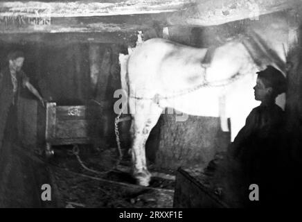 Un mineur avec un poney dans une mine de charbon anglaise, époque victorienne Banque D'Images