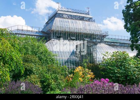 Vue sur le jardin botanique de Saint-Pétersbourg avec parterres de fleurs et serre de palmiers anсient en arrière-plan Banque D'Images