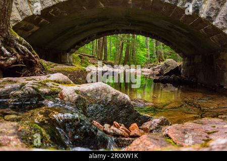Un pont voûté en pierre dans la forêt au-dessus d'un ruisseau sur les sentiers de calèche dans le parc national Acadia. Banque D'Images