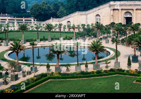 Orangerie du château de Versailles, Ile de France, France, orangerie du château de Versailles, France, jardin des palmiers, parc du château Banque D'Images