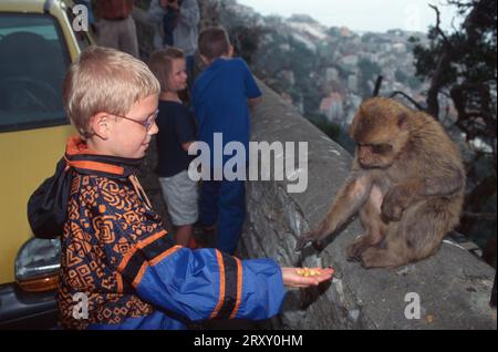 Garçon nourrissant le jeune singe de Barbarie, Gibraltar (Macaca sylvanus) Banque D'Images