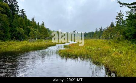 Vues vues vues lors de la randonnée autour de Jordan Pond dans le parc national Acadia, à Bar Harbor Maine. Photos prises en été par temps nuageux et pluvieux. Banque D'Images