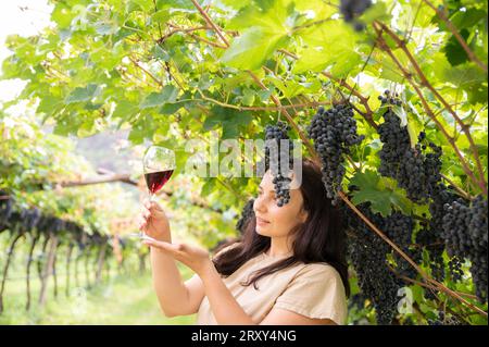 Belle femme rêvant de déguster du vin rouge en appréciant un séjour d'été dans les vignobles par belle journée ensoleillée. femme buvant du vin rouge au vignoble. saison de récolte. Photo de haute qualité Banque D'Images