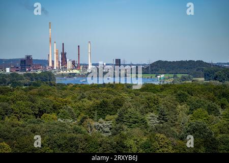 Vue à travers le Rhin à l'aciérie ThyssenKrupp à Duisburg-Beeckerwerth, hauts fourneaux, cokerie, paysage verdoyant sur la rive gauche de Banque D'Images