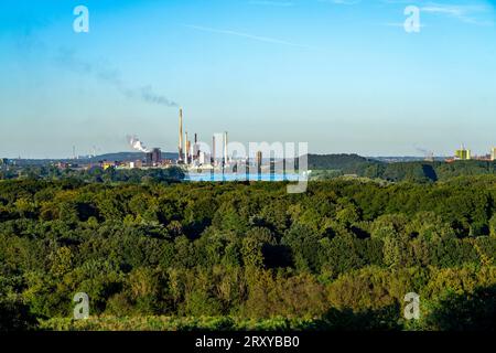 Vue à travers le Rhin à l'aciérie ThyssenKrupp à Duisburg-Beeckerwerth, hauts fourneaux, cokerie, paysage verdoyant sur la rive gauche de Banque D'Images