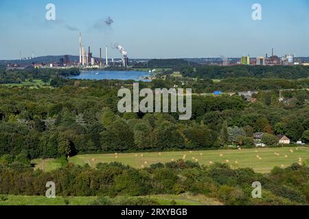 Vue à travers le Rhin à l'aciérie ThyssenKrupp à Duisburg-Beeckerwerth, hauts fourneaux, cokerie, paysage verdoyant sur la rive gauche de Banque D'Images