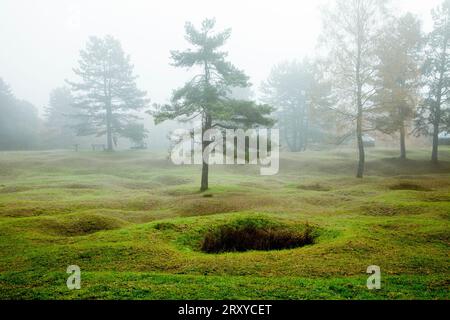 Cratères de bombes sur le champ de bataille de Douaumont, Verdun, France Banque D'Images