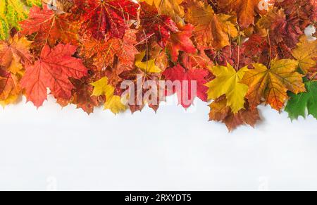 Cadre de feuilles d'érable colorées d'automne sur le fond blanc Banque D'Images