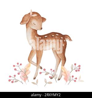 Aquarelle de petit cerf, animaux des bois, bébé cerf, Aquarelle Fawn, baies rouges, bébé Clipart, affiche bébé, nursery Wall Art animaux Banque D'Images