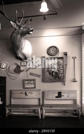 Salon du café Lone Spur avec bancs en bois, rodéo art et un mont de cerfs où les invités sont reçus pour le restaurant de style cow-boy, Prescott, AZ Banque D'Images