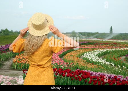 Femme portant un chapeau en osier dans un beau champ de tulipes, vue arrière. Espace pour le texte Banque D'Images