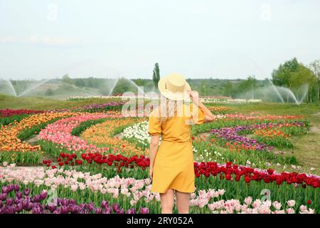Femme portant un chapeau en osier dans un beau champ de tulipes, vue arrière Banque D'Images
