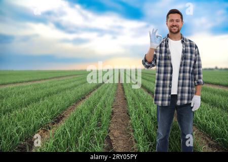 Agriculteur montrant un geste correct dans le champ. Saison de récolte Banque D'Images