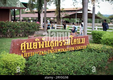 Chok Chai Farm, Khao Yai, Thaïlande - 2 juin 2019 : magnifique paysage magnifique à Chokchai Farm, Khao Yai, Thaïlande. - La ferme Chokchai est le plus grand da Banque D'Images