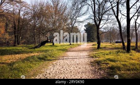 Jardim dos Poetas Garden, ce petit jardin tire son nom de deux frères du XVIe siècle qui étaient poètes et indigènes à Ponte da Barca. Banque D'Images