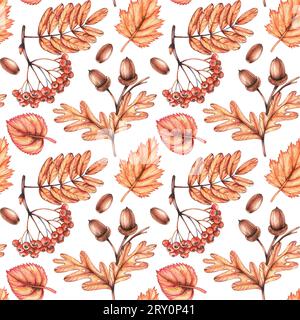 Aquarelle modèle d'automne dessiné à la main. Motif avec des plantes d'automne pour les articles de vacances et de festival. Modèle sans couture pour textiles, tissus, invitations Banque D'Images