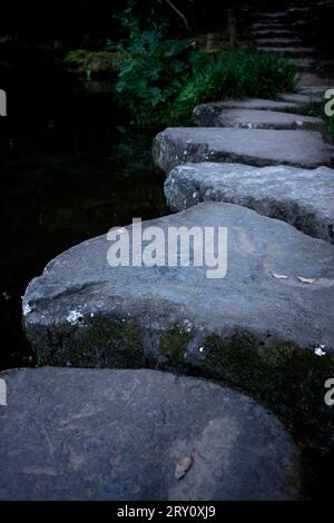 Narita Mountain New Victory Temple Tokyo Japon Banque D'Images