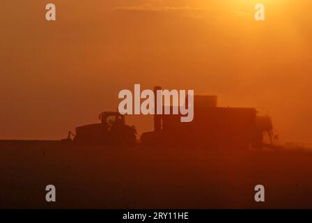 21.08.2010 Getreideernte/ Am Abend Deutschland/ Sachsen Anhalt/ Altmark/ BEI Rohrberg/ Am Abend/ Sonnenuntergang/ Getreideernte/ Traktor mit Hänger fährt über das abgeerntete Feld/ Gegenlicht/ Dreck/ Staub/ Silhouette/ Abendrot *** 21 08 2010 récolte des céréales le soir Allemagne Saxe Anhalt Altmark près de Rohrberg dans le soir coucher du soleil tracteur de récolte de grain avec des entraînements de remorque au-dessus du champ récolté arrière lumière poussière de saleté silhouette rouge soir Banque D'Images
