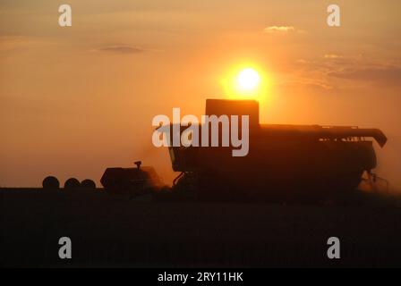 21.08.2010 Getreideernte/ Am Abend Deutschland/ Sachsen Anhalt/ Altmark/ BEI Rohrberg/ Am Abend/ Sonnenuntergang/ Getreideernte/ Mähdrescher Claas fährt vor der untergehenden sonne/ Gegenlicht/ Silhouette/ Dreck/ Staub/ Strohballen liegen im hintergrund auf dem Feld/ Abendrot *** récolte des céréales 21 08 2010 in le soir Allemagne Saxe Anhalt Altmark près de Rohrberg dans le soir coucher du soleil moissonneuse-batteuse de récolte de grain Claas conduit devant de la silhouette de rétroéclairage de soleil de réglage saleté poussière balles de paille se trouvent dans le fond sur le champ soir rouge Banque D'Images