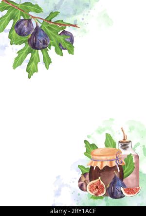 Illustration à l'aquarelle dessinée à la main. Figues fraîches et mûres sur la branche et un pot de confiture de figues, une bouteille de limonade avec quelques figues et des tranches à côté. Sur li Banque D'Images