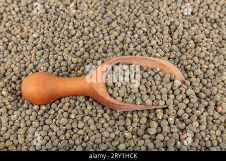 Graines de gombo, grande quantité de graines de gombo bio. Détail des graines de gombo séchées. Ambrette Seed Background (Abelmoschus moschatus). Banque D'Images