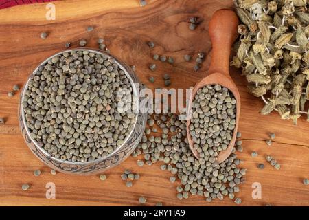 Graines de gombo, grande quantité de graines de gombo bio. Détail des graines de gombo séchées. Ambrette Seed Background (Abelmoschus moschatus). Banque D'Images