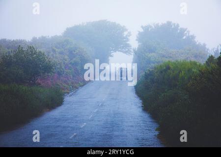 Le brouillard dans la montagne Banque D'Images