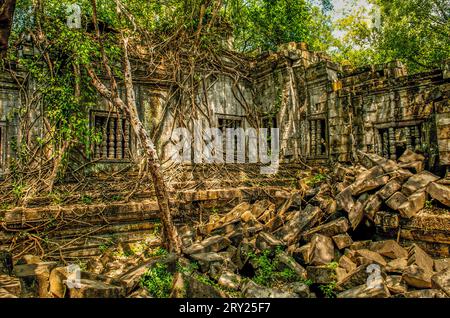 Des racines géantes enveloppent des ruines non excavées à Beng Mealea, province de Siem Reap, Cambodge. © Kraig Lieb Banque D'Images