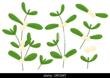 Ensemble de fleurs de GUI. Branches vertes et baies blanches pour cartes de vœux, invitations, affiches, bannières. Vector Seasonal Botanical Decoration, Templa Illustration de Vecteur