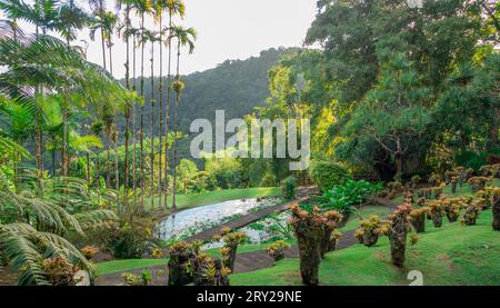 Jardins de la Balata à fort-de-France, Martinique. Jardins exotiques des Antilles françaises. Banque D'Images