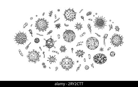 Ensemble de virus gravés et bactéries isolés sur fond blanc. Différents types de micro-organismes microscopiques. Illustration vectorielle dans le style d'esquisse Illustration de Vecteur