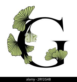 Ginkgo biloba feuilles alphabet G. badge et icône dans un style linéaire à la main tendance. Vector logo Emblem lettre et branche de ginkgo. Illustration pour cosme Illustration de Vecteur