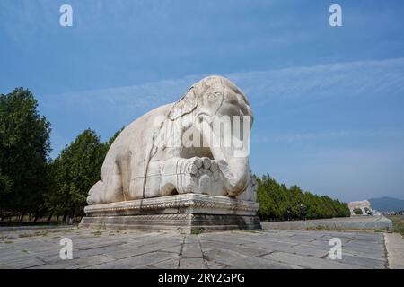 Ville de Zunhua, Chine - 1 mai 2023 : animaux sculptés dans la pierre dans les tombes orientales de la dynastie Qing, Chine du Nord Banque D'Images