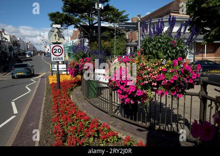 Panneau de limitation de vitesse à 20 km/h, à côté de superbes expositions florales publiques célébrant Stratford in Bloom et inspirées par Plantscape sur l'exposition publique du Banque D'Images