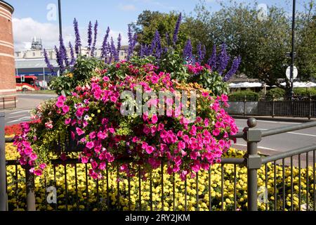 Superbes expositions florales publiques célébrant Stratford in Bloom et inspirées par Plantscape sur une exposition publique dans les rues de Stratford sur Avon Royaume-Uni Banque D'Images