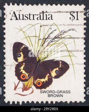 Swordgrass Brown (Tisiphone abeona). Série de papillons australiens. Timbre-poste émis en Australie en 1983. Banque D'Images