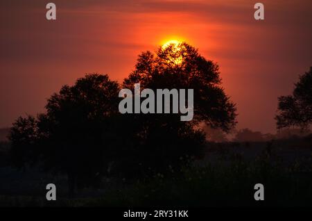 Magnifique coucher de soleil dans la rivière Okavango Banque D'Images