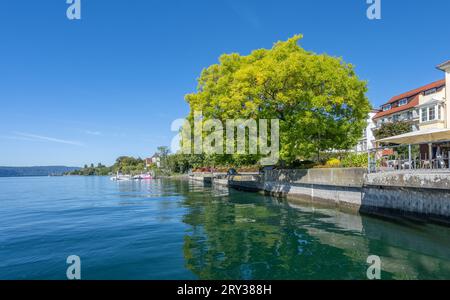 Ueberlingen sur le lac de Constance, promenade au bord du lac. Baden-Wuerttemberg, Allemagne, Europe Banque D'Images