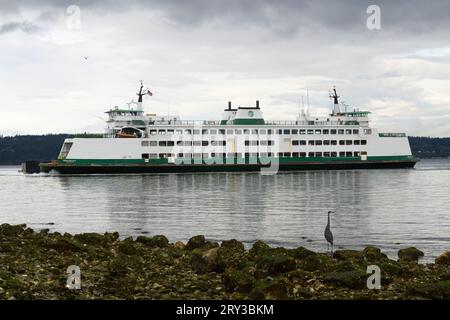 Mukilteo, WA, États-Unis - 26 septembre 2023 ; Washington State Ferry MV Issaquah approche du rivage rocheux de Mukilteo dans la tristesse avec l'observation du héron Banque D'Images