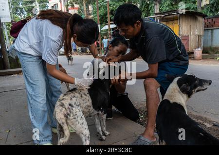 Des bénévoles de la PET Love Foundation administrent le vaccin anti-rage (ARV) aux chiens de rue lors d'une campagne spéciale à l'occasion de la Journée mondiale de la rage, le 28 septembre 2023 à Guwahati, Assam, Inde. La rage est un virus dangereux qui provoque une inflammation du cerveau. Les animaux peuvent transmettre la rage aux humains par morsures et égratignures. Crédit : David Talukdar/Alamy Live News Banque D'Images