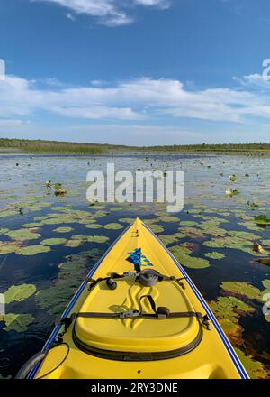 Une des choses que j'aime faire pour les loisirs de plein air dans le comté de Door est le kayak dans les nombreux ruisseaux et lacs intérieurs là-bas, ainsi que le lac Michigan. Banque D'Images